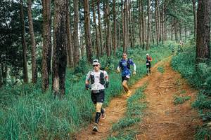 BIB: 
                            <button type="button" onclick="openModal(25661561)" class="btn btn-primary btn-sm float-right btn-popup" data-toggle="modal" data-target=".modal-high-quality">
                        <i class="fas fa-shopping-cart"></i> Add to Cart
                    </button>
                                            <button type="button" onclick="isThisMe(25661561, true)" class="btn btn-success btn-sm float-right btn-popup btn-isme hidden" data-toggle="tooltip" data-placement="bottom" title="นี่คือรูปของคุณใช่ไหม คลิกที่นี่เพื่อเอาเข้าอัลบั้ม">
                        <i class="fas fa-plus"></i> Add to album
                    </button>
                    <button type="button" onclick="isThisMe(25661561, false)" class="btn btn-warning btn-sm float-right btn-popup btn-isnotme hidden">
                        <i class="fas fa-ban"></i> Remove from album
                    </button>